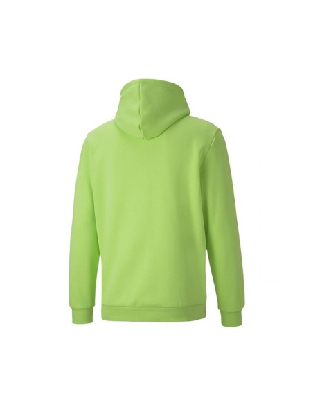 ESS+ HOODY FL BIG LOGO